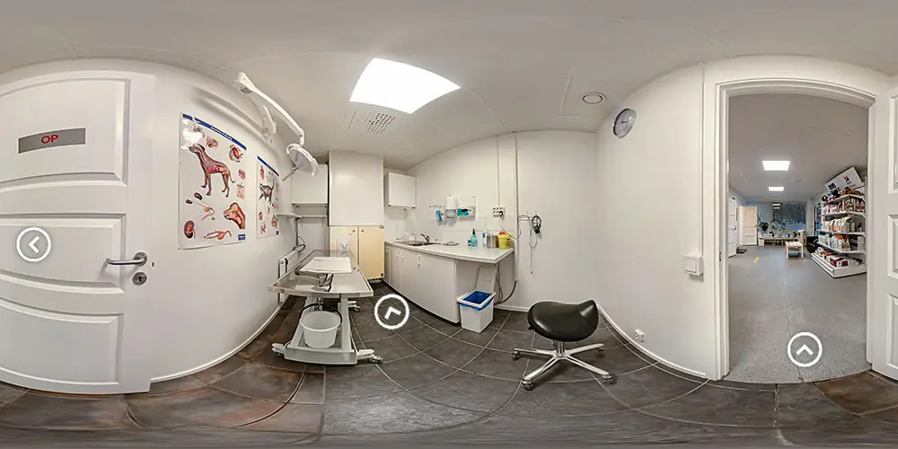 Real Estate Virtual Tour Services