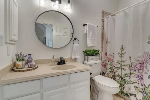 toilet flambient photo editing 